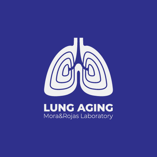 Lung Aging Lung Aging